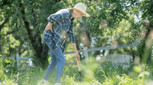 Gardening Without Pain: Discover Ergonomic Solutions for a Healthier Hobby